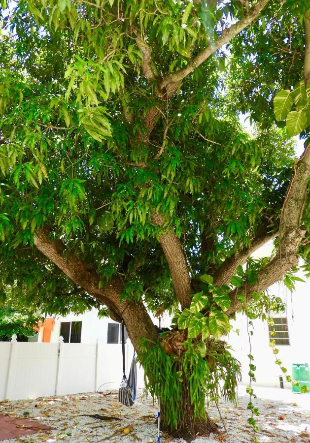 Enchanting Cozy Apartment 10 Min Away From Airport, Calle 8, Brickell, Coral Gables, The Beach And More! Маямі Екстер'єр фото